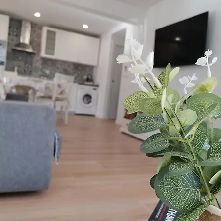 Adelmar Apartment
